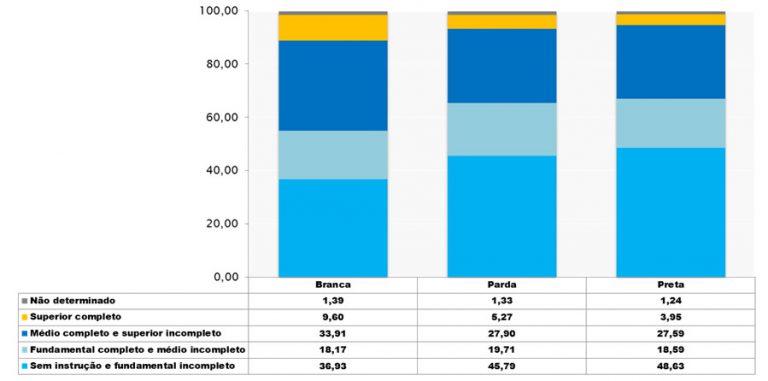 Pessoas de 10 anos ou mais de idade, *segundo cor/raça e nível de instrução (%) – Contagem - 2010