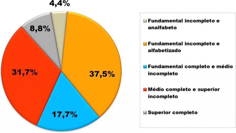 Pessoas de 25 anos ou mais segundo nível de instrução (%) Contagem - 2010